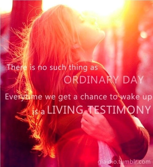 e06cc4f0018d7cfaed0fecc5aa11c0e0.jpg image