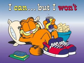 garfieldlazy_2816